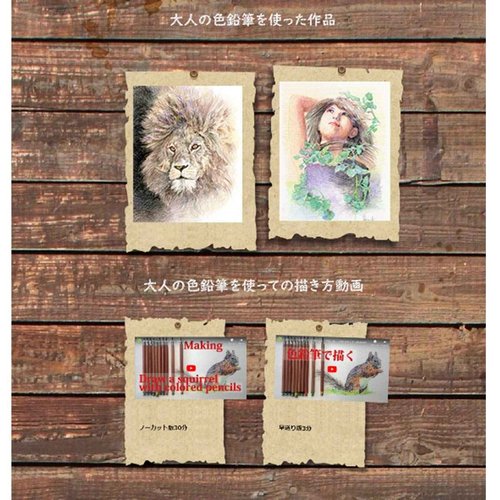 Kitaboshi 2mm Mechanical Colored Pencil - 13 Color Set, 1 Set (OTP-IE13)