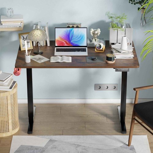 PayLessHere Electric Standing Desk 48x24 Inch Height Adjustable Computer Desk Large Space Office Desk with Headphone Holder 2 Memory Function for Home Office,Brown