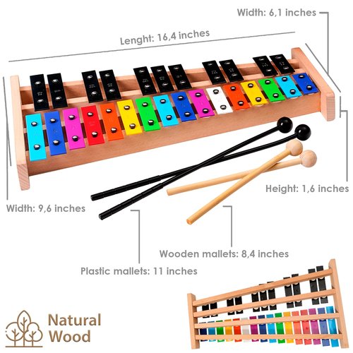 MINIARTIS Glockenspiel Xylophone | Full Size Glockenspiel Xylophone 27 Note Colorful Metal Keys for Adults & Kids | Percussion Musical Instrument Includes 2 Wooden Beaters, Songbook and Carry Case