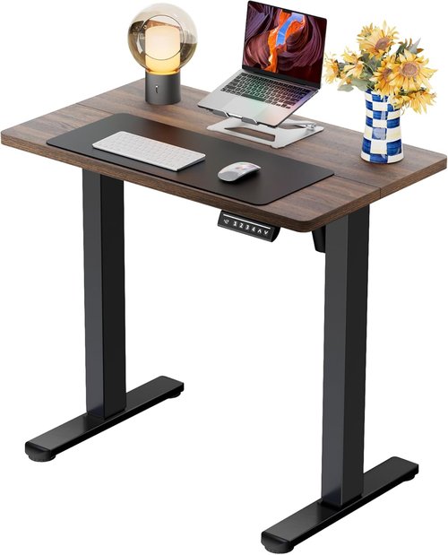 ErGear Electric Standing Desk - Height Adjustable Sit Stand Up Desk, 32 x 19 Inches, Dark Walnut Finish
