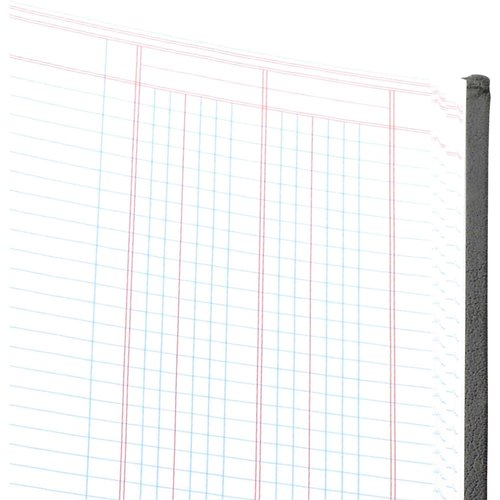 Wilson Jones Hardbound Accounting Journal, 9.25 x 7 Inches, 2 Columns, 80 Pages, 30 Lines per Page, Black (W74102A)
