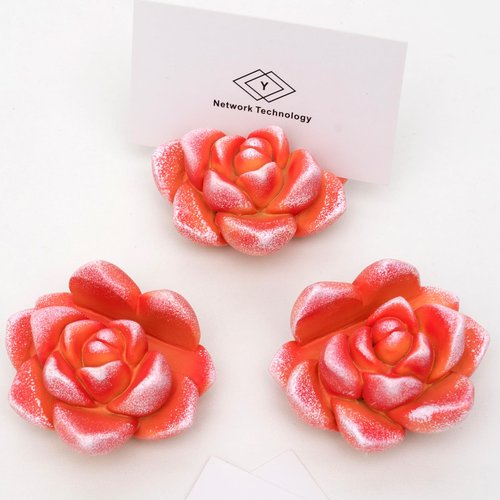 wowhalolo Resin Succulent Business Card Holder Set of 3 - Orange - Cute Desk Organizer and Display Stand for Office, Store - Vertical Name Card Holders - Unique Gift and Decor