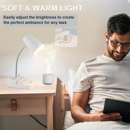 LALISU LED Study Desk Lamp - Gooseneck Design with USB Charging & Stepless Dimming | White