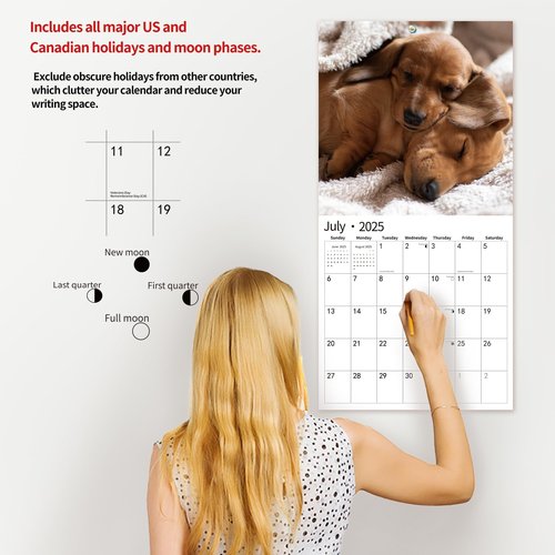 2025 Wall Calendar,Calendar 2025, January 2025 - December 2025, Wall Calendar Dachshund, 12" x 24" Opened,Full Page Months Thick & Sturdy Paper for Gift Perfect Calendar Organizing & Planning