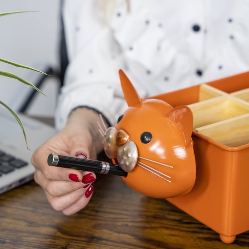 Made Easy Kit Desk Organizer, 1-5 Module Compartments - Storage for Stationery Supplies, Accessories, brushes - Home, Office, School, Dorm, Studio - Build in Pen & Pencil Holder (Orange Cat)