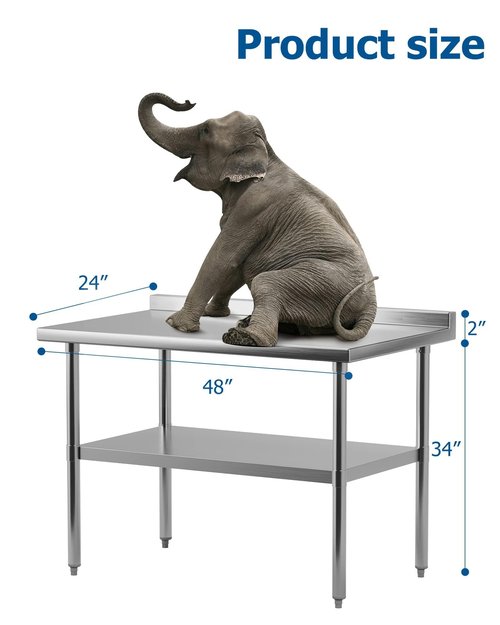 EcoExplorer Heavy Duty Stainless Steel Table for Prep and Work, NSF Commercial Table with Adjustable Bottom Shelf for kitchen, Restaurant, Home, Garage, Hotel, 48 x 24 Inches with Backsplash