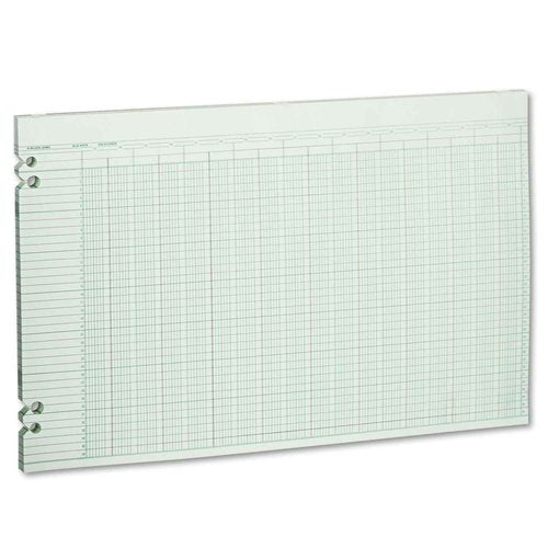 Wilson Jones G5030 Accounting Sheets, 30 Columns, 11 x 17, Green (Pack of 100 Loose Sheets)