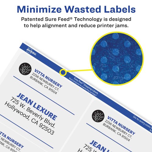 Avery Matte Frosted Clear Address Labels for Inkjet Printers, 3-1/3" x 4", 60 Labels, 5 Packs (18664)