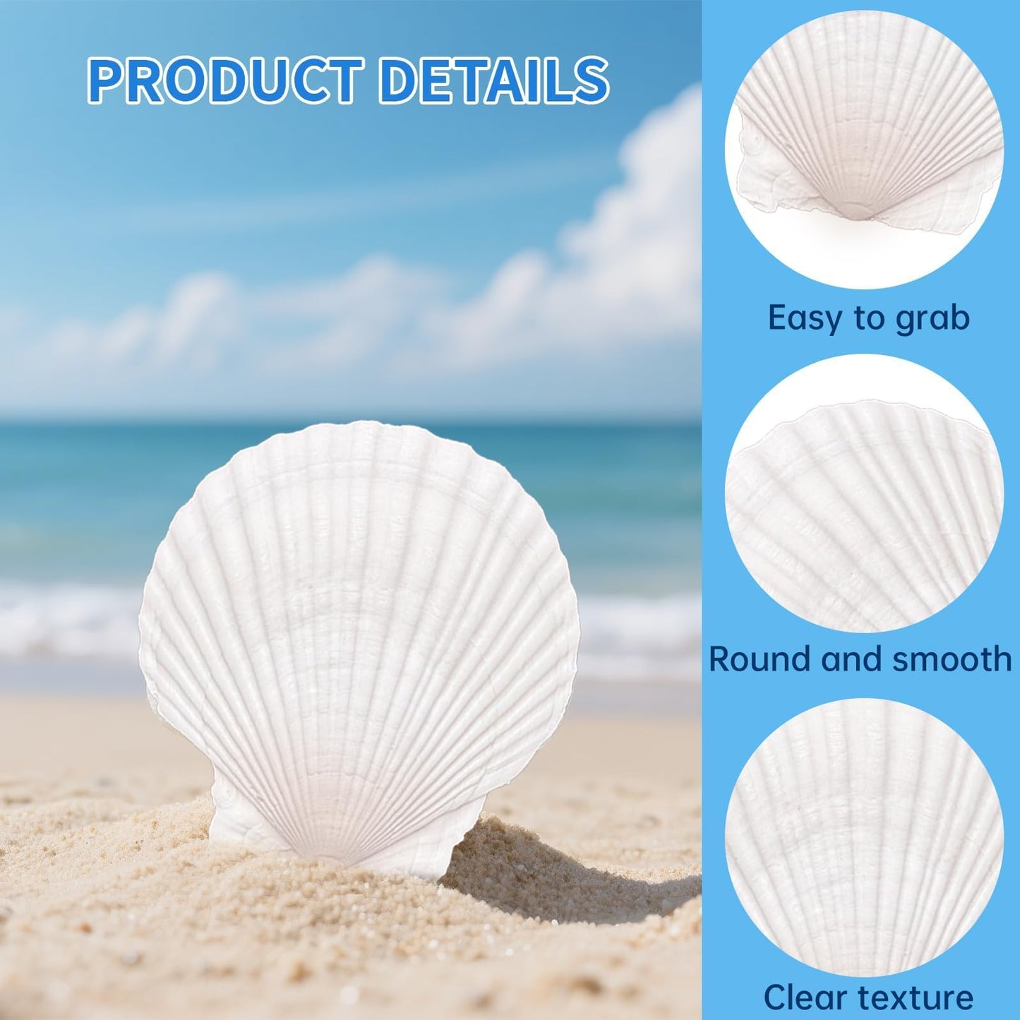 36PCS Natural Scallop Shells for Crafts, 2-3 Inch White Sea Shells for Decorating, Genuine Beach Seashells for DIY Craft Making, Painting, Cooking, Ocean Themed Party Supplies & Decorations