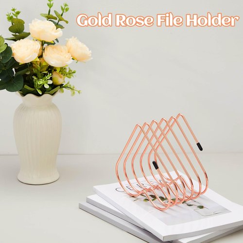 Willinglong 2 Pcs Rose Gold File Organizer for Desk 5 Slot Heart Shaped Gold File Divider Vinyl Record Organizer Desk Book Storage Rack Desktop Metal Magazine Holder Bookshelf for Home Office