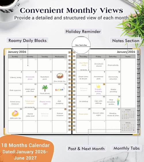 2026-2027 Planner | Skiennix 18-Month Hardcover Weekly & Monthly Organizer - Large A4, Black