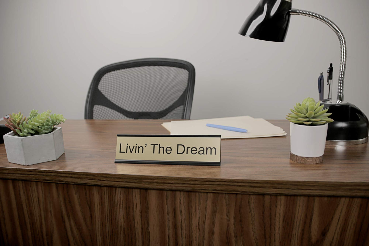 ExcelMark Livin' The Dream Desk Plate – 2"x 8"Novelty Name Plate – Gold Name Plate with Black Desk Holder