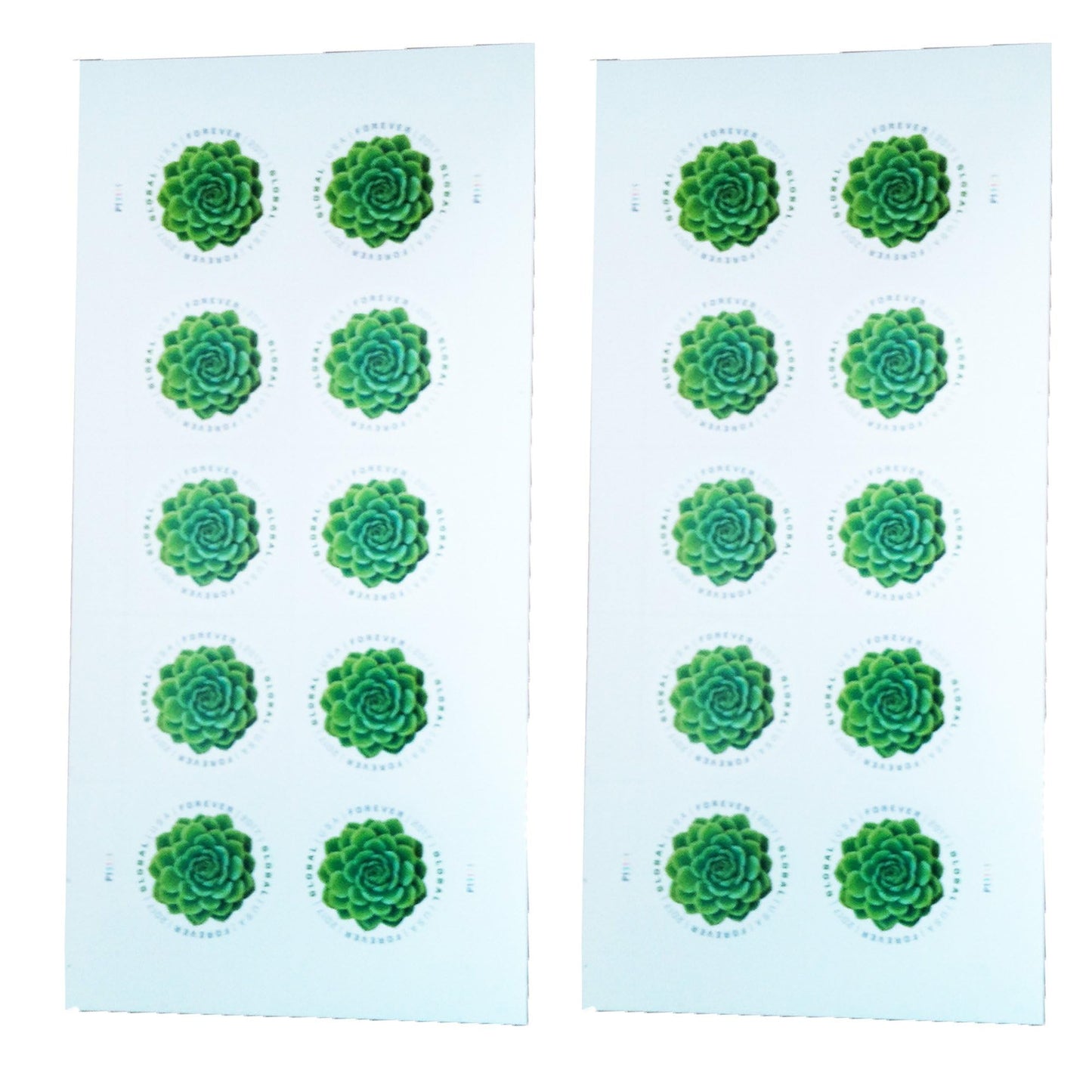 Green Succulent Sheet of 10 Global USPS First Class International Forever Postage Stamps (2)