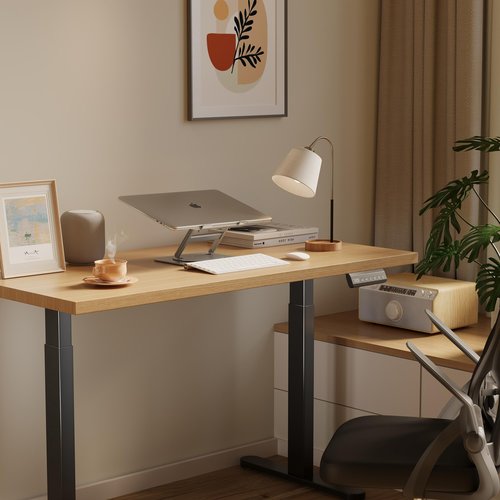 BONTEC Electric Standing Desk Frame, Height Adjustable Sit Stand Desk Base Ergonomic (Dual Motor)