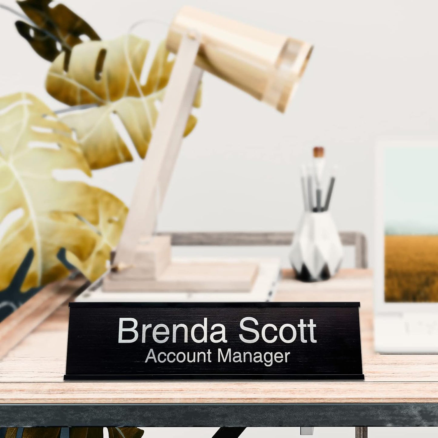 Skiennix Personalized Aluminum Name Plates - Custom Desk or Wall Plates | Two Lines of Text, 3 Color Options