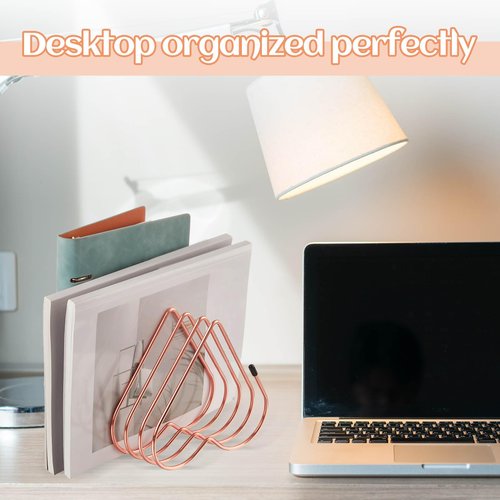 Willinglong 2 Pcs Rose Gold File Organizer for Desk 5 Slot Heart Shaped Gold File Divider Vinyl Record Organizer Desk Book Storage Rack Desktop Metal Magazine Holder Bookshelf for Home Office
