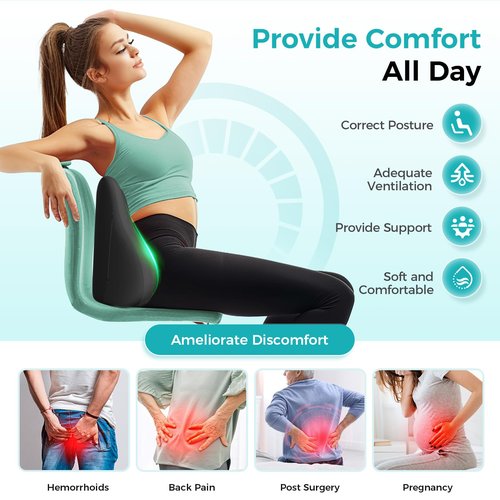 kasney Lumbar Support Pillow, Memory Foam Lumbar Pillow for Lower Back Pain Relief, Back Support Pillow for Office Chair, Car Seat - Black