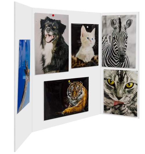 Trifold Poster Board Foam Core 24 x 36 x 3/16"(5mm) - 5 Pack - Tri Fold Posters Display Board, Acid Free, Double Sided, Posterboard Foamboard for Mounting, Prints, Art, Presentation and Projects