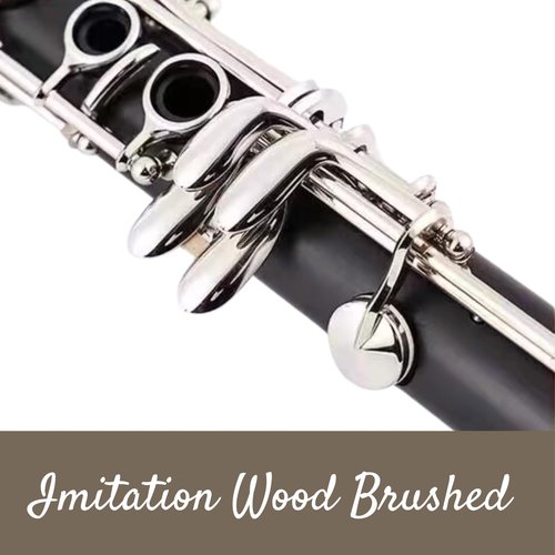 Deloitte Bb Clarinet, ABS, Nickel Plated, DCL-225, Professional Clarinet for Beginner, with Hand Case Bag and Cleaning Kit