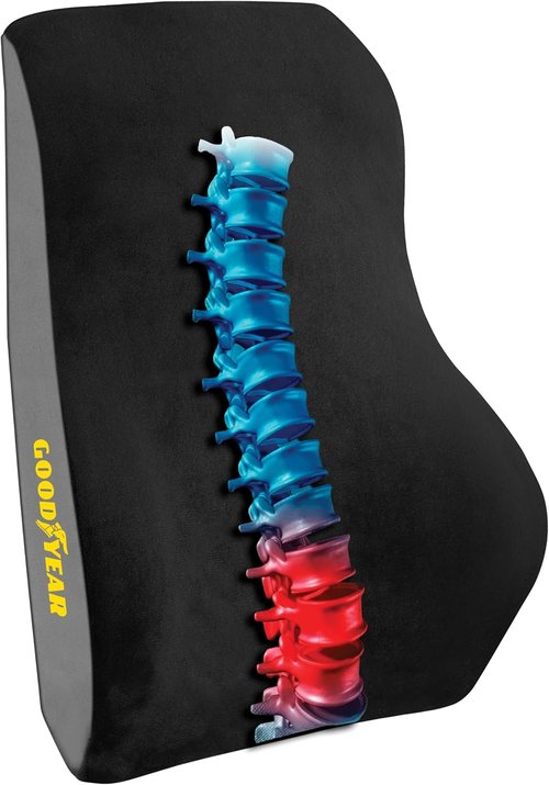 Goodyear Ergonomic Lumbar Support Pillow - Memory Foam Back Cushion for Office and Car | Black