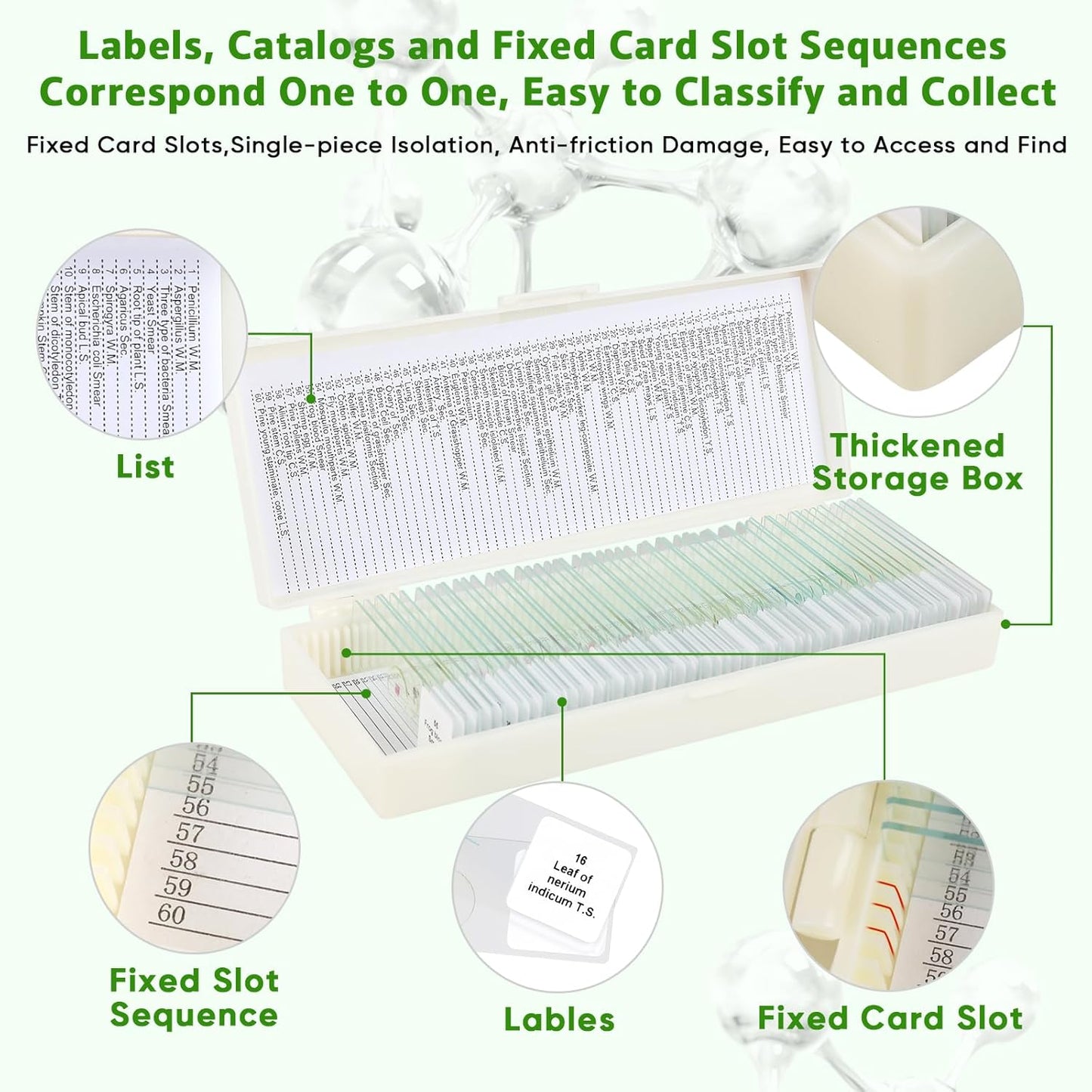 Skiennix Prepared Microscope Slides - 60 Glass Slides with Specimens for Kids' Science Classes