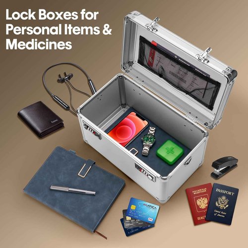 LOCKCURX Large Lock Box - Security Combination Lock Box, Locking Storage Case for Personal Items and Medicine, Childproof Lockable Lockbox for Home/Office/School, 15.1x9.4x8.7 Inch, Silver