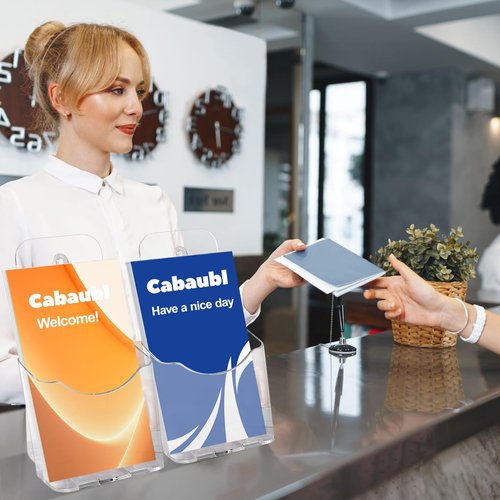 Cabaubl Acrylic Brochure Holder 4x9 Inches,4 Pack Plastic Flyer Holder,Clear Display Stand,Clear Literature Holder,Pamphlet Holder Wall Mount Countertop Organizer for Display Flyer, Brochure Booklets