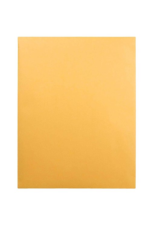 Quality Park Catalog Mailing Envelopes, 12 x 15-1/2 Envelopes, Gummed, Heavy 28 lb. Kraft Paper, For Mailing, Organizing and Storage, 250 per Box (QUA41965), Light Brown