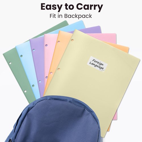 Sooez 2-Pocket Folders, Plastic Folders with Pockets 3 Hole Punched, 1 Pack Pockets Folder for 3 Ring Binder with Labels, Heavy Duty Binder Folder for Document, Letter Size File Folder,Pink