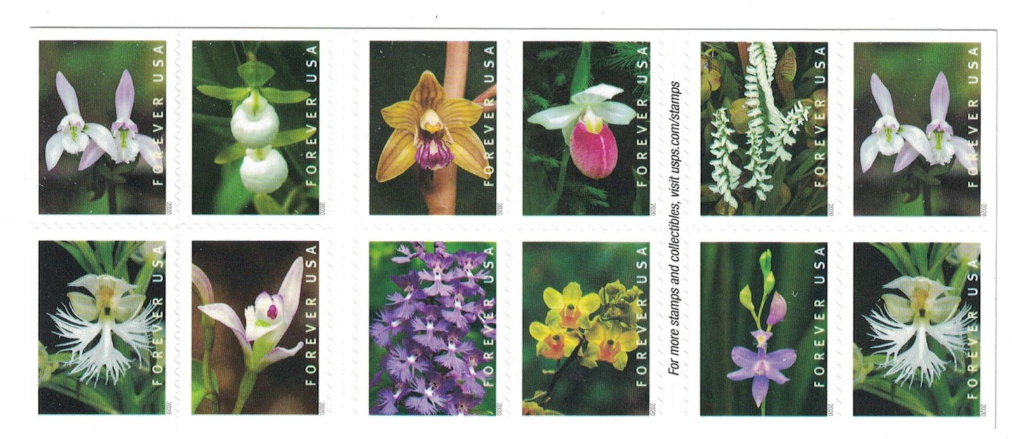 Wild Orchids (Booklet of 20) First-Class Mail Forever Postage Stamps 2020 Scott 5445-5454