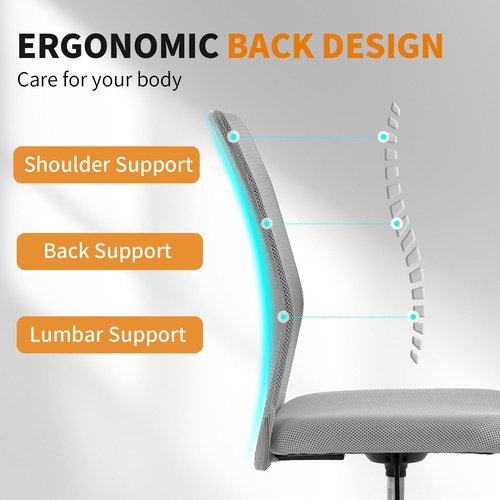 Ruesleag Home Office Chair Ergonomic Mid-Back Mesh Desk Chair Computer Armless Executive Task Chair Lumbar Support Armrests Swivel Rolling PC Chairs Small Meeting for Adults,Grey