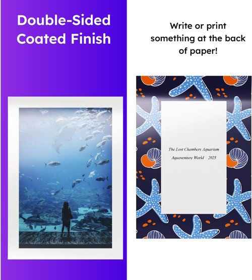Digital Low Gloss Paper by Dull - Double-Sided C2S Coated for Color Laser Printing | Matte Finish | 8.5" x 11" | 100 Sheets