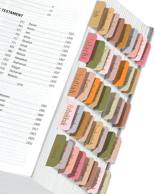 ERENOU Bible Tabs - Gold Foil Embossed Lettering | 75 Easy-to-Read Index Tabs for Bible Study