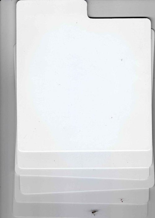 (30) 12" Record Divider Cards - SLOPED Lesser Cut - White, Standard 40mil - 12" x 13 1/8" - #12NS13WH40DI