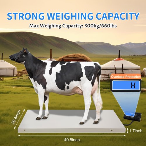 Erhdexzhg Digital Weighing Scale for Pets,Heavy Duty Livestock Platform Scale with LCD,660 Lbs-Load Capacity Veterinary Scale,Two Weighing Modes,High Accuracy,Scale for Large Pets Postal Warehouses