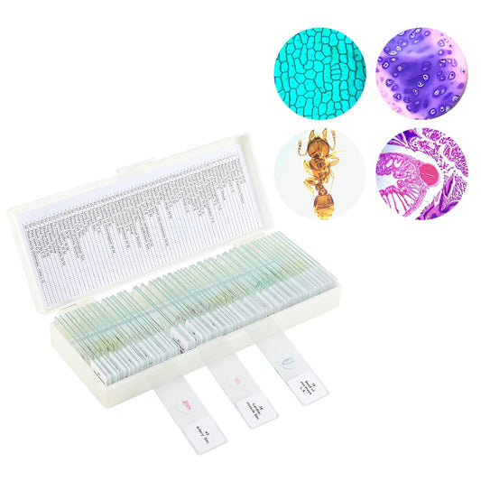 Skiennix Prepared Microscope Slides - 60 Glass Slides with Specimens for Kids' Science Classes