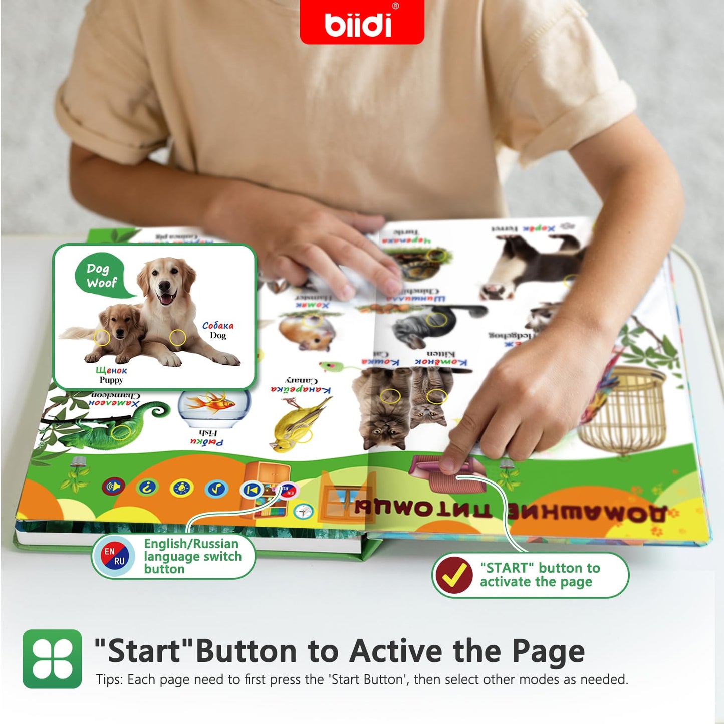 biidi English & Russian Bilingual Interactive Sound Book for Toddler 3-5,40 Songs&30 Stories,Rechargeable Talking Book,Learing Toy for Kids,Boys Girls Birthday, 1600+ Sounds,171 Animals