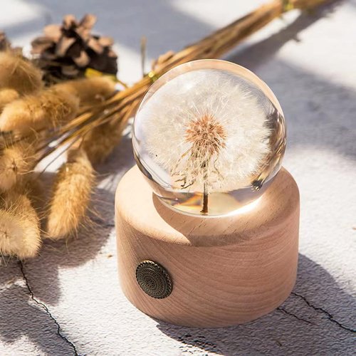 DESHINTKE Real Dandelion Specimen with Wood Round Base Paperweight Desktop Decor Decoration (Style2)