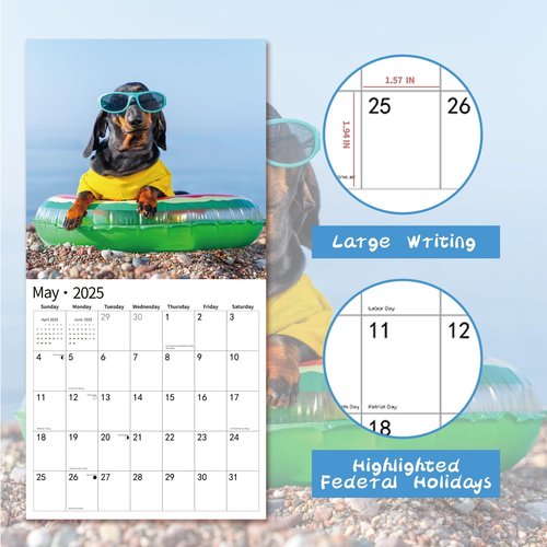 2025 Wall Calendar,Calendar 2025, January 2025 - December 2025, Wall Calendar Dachshund, 12" x 24" Opened,Full Page Months Thick & Sturdy Paper for Gift Perfect Calendar Organizing & Planning