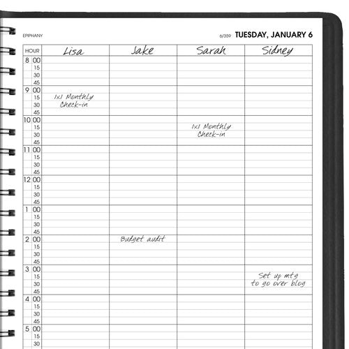 AT-A-GLANCE 2026 Appointment Book Planner, Daily, 8" x 11", Large, Four Person Group, Black (708220526)