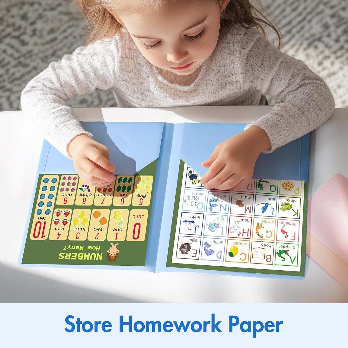 BEYGORM 8-Pack Plastic Folders - Cute Pastel Homework Organizers with Pockets | Letter Size, 2 Pocket Design