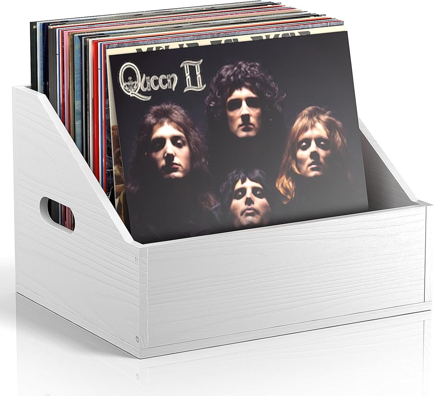 Skiennix Vinyl Record Storage - Retro Durable Crate for 60+ Records | Stylish Album Organizer in White