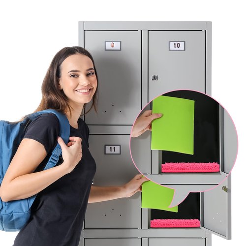 AUECOOME Locker Organizer Shelf and Locker Carpet 、locker accessories、Decorating Kit Suitable for School, Office、 Pink Locker Accessory for Girls Back to School Essentials(1, Pink)