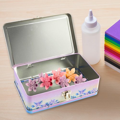 DAHO Metal Storage Box with Hinge for Office, School, Home, Makeup, Arts & Crafts and Accessories (Enjoy the Ride)