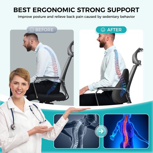 kasney Lumbar Support Pillow, Memory Foam Lumbar Pillow for Lower Back Pain Relief, Back Support Pillow for Office Chair, Car Seat - Black