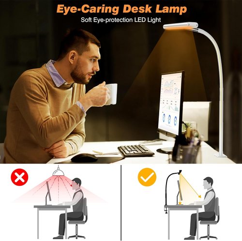 Airlonv LED Desk Lamp - Eye-Caring Adjustable Gooseneck Light with Stepless Dimming | 10W USB Clamp Lamp (White)