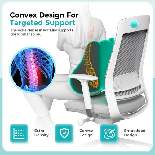 kasney Lumbar Support Pillow, Memory Foam Lumbar Pillow for Lower Back Pain Relief, Back Support Pillow for Office Chair, Car Seat - Black