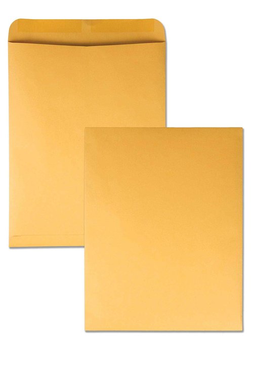 Quality Park Catalog Mailing Envelopes, 12 x 15-1/2 Envelopes, Gummed, Heavy 28 lb. Kraft Paper, For Mailing, Organizing and Storage, 250 per Box (QUA41965), Light Brown