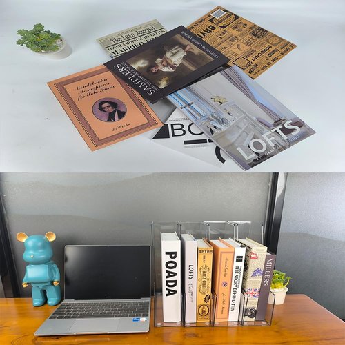 RHONZHAO Vertical File Holder, 4 pack Clear Plastic Document Organizer and Clear Magazine Organizer, Multi-purpose Document Organizer for Home Office