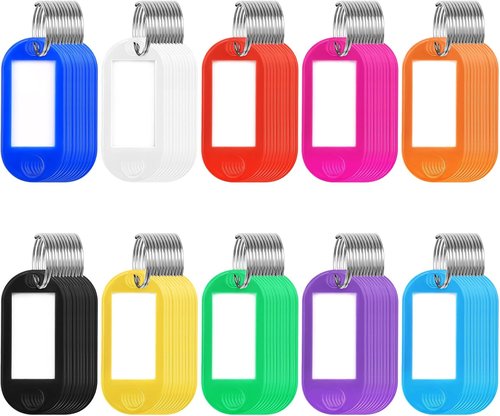 NACHLYNN Plastic Key Tags - 110 Pack with Key Rings for Pet ID & Luggage | Multicolor, 2 x 0.85 in